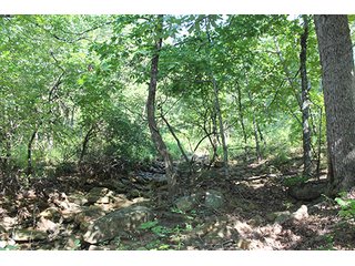 Property photo 26 - LAND AUCTION - 440+/- ACRES OFFERED IN 17 TRACTS IN OSAGE CO., OKLAHOMA